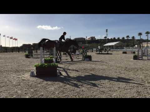 Casanova 4yo by Casall
