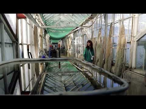 Crystal Skirt Sewing Pattern video