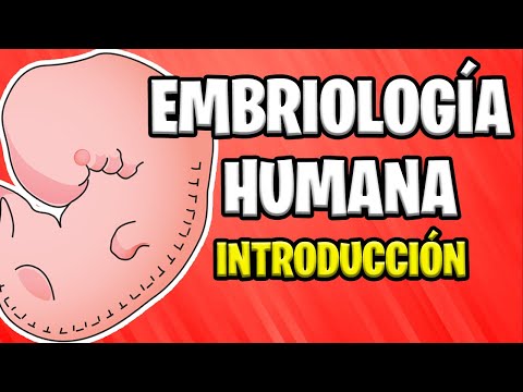 ✅ INTRODUCTION TO THE EMBRYOLOGY HUMAN |  Concepts Basics 📚