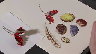Watercolour Painting Fortissimo Berries - Preview ⎮Billy Showell ⎮Watercolour Beautiful