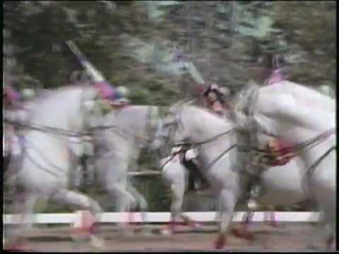 Royal Lipizzaner Stallion Show, Mankato Commercial