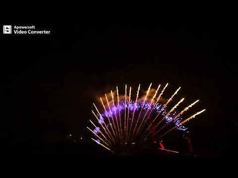 19s Z shape blue mine + gold strobe willow tail