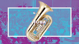 The Tuba