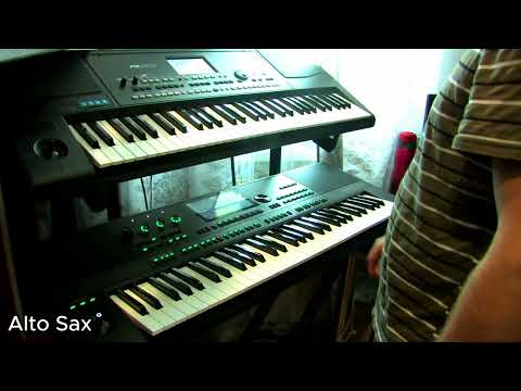 Medeli AKX10 vs Korg PA300