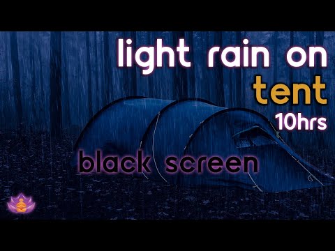 [Black Screen] Relaxing Sounds of Light Rain on Tent for Sleeping, Studying and Meditation