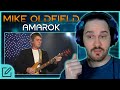 TOTAL SOUND COLLAGE Mike Oldfield Amarok Composer Reaction Analysis