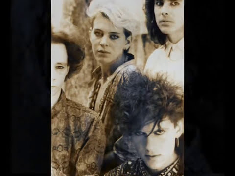 ▐►CLAN of XYMOX  