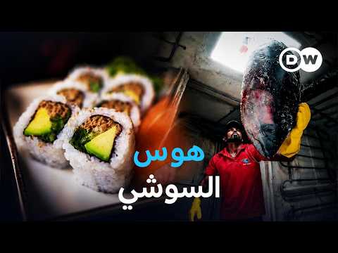 وثائقي | الجانب المظلم لهوس السوشي: بين نهم الاستهلاك وانقراض الأنواع | وثائقية دي دبليو