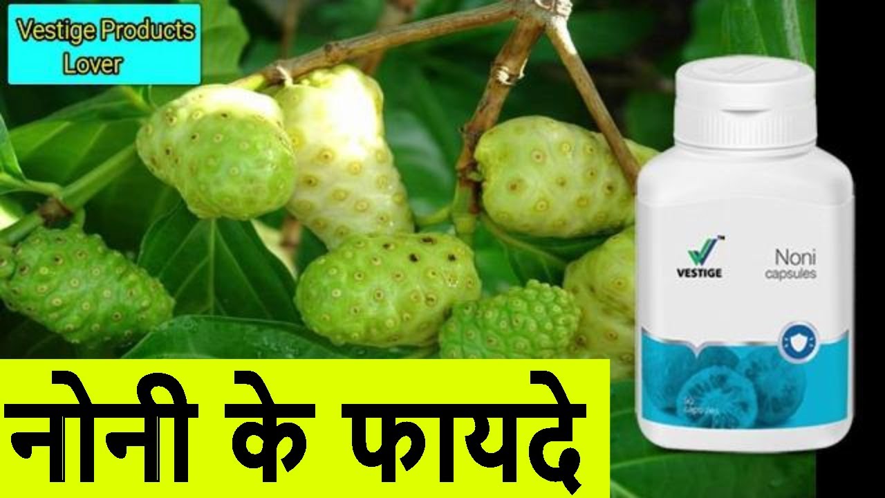 Noni Ke Fayde in hindi / Vestige Noni Capsule Benefits in hindi/Noni Fruit/ Noni kya he Hindi