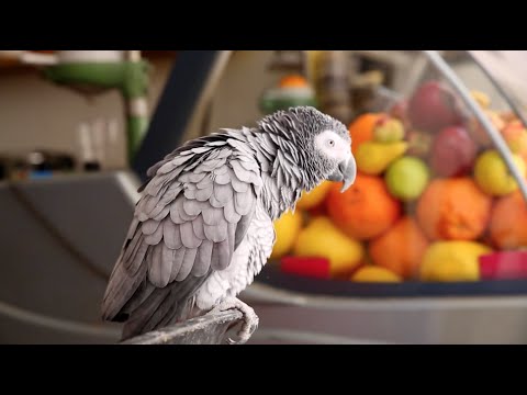 This is Israel. (HD)