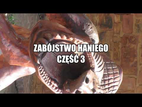 #20 The Murder of Chris Hani, Part 3/4 - Investigation, Sentencing, Trial