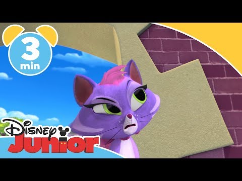 Valpevenner | Hissy har en dårlig dag - Disney Junior Norge
