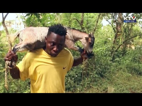 Sierra Leone movie - Village Thief