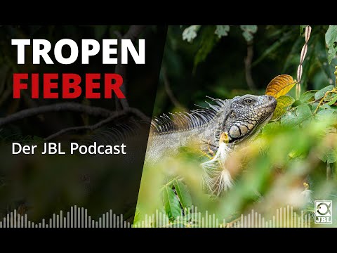 Neuer JBL Podcast - TROPENFIEBER kommt