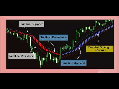 Video Holy Trend PRO