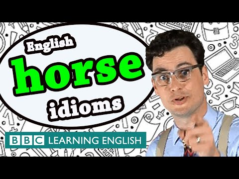 Horse Idioms - BBC Learning English