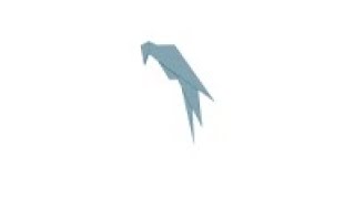 Parrot Nedir / What is Parrot ?