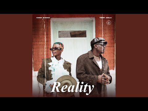 Reality (feat. Terry Apala)