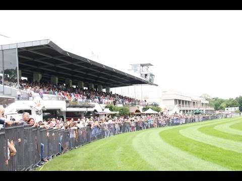 Frankfurt: Rennen der Fleischer-Innung Frankfurt-Darmstadt-Offenbach (D) - Siegerin: Alderaan