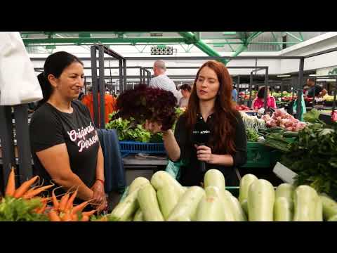 Ceger ep. 1017 16. 06. 2022.