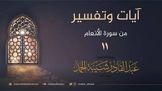 صورة (11) تفسير الآيات 133 - 135 | الشيخ عبدالقادر شيبة الحمد