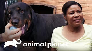 Thumbnail del capítulo