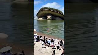 Download lagu merekam kura - kura raksasa do tepi laut mp3 Download lagu merekam kura - kura raksasa do tepi laut mp3