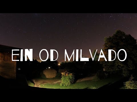 Bitachon Explained (Only Trust In HaShem and Why)