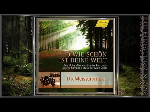 DIE MEISTERSINGER ~ So nimm denn meine Hände - Friedrich Silcher ~ Ltg. KLAUS BREUNINGER (2008)...