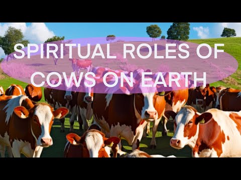 Spiritual Service of Cows on Earth and How we can honour them
