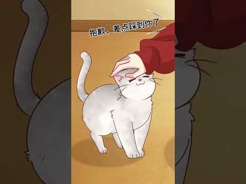 After raising a cat for a thousand days, the cat can be turned into a hand warmer when the weath