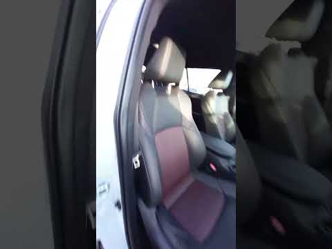Toyota RAV4 2.5 Plug In Hybrid Sport AWD 5dr - Image 2