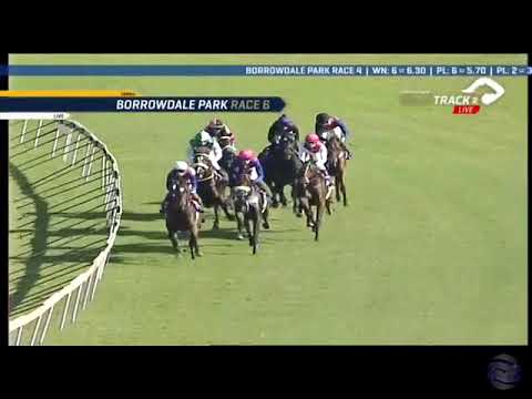 2019.03.10 Zimbabwe Guineas (ZIM) - Sygone