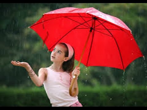 Народные приметы про зонт