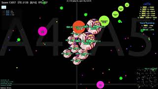 【agar.io】2年ぶりくらいの人との狐式 w/Robo