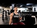 ARM WORKOUT | Biceps and Triceps | Natural Bodybuilder | Alex Fernandez