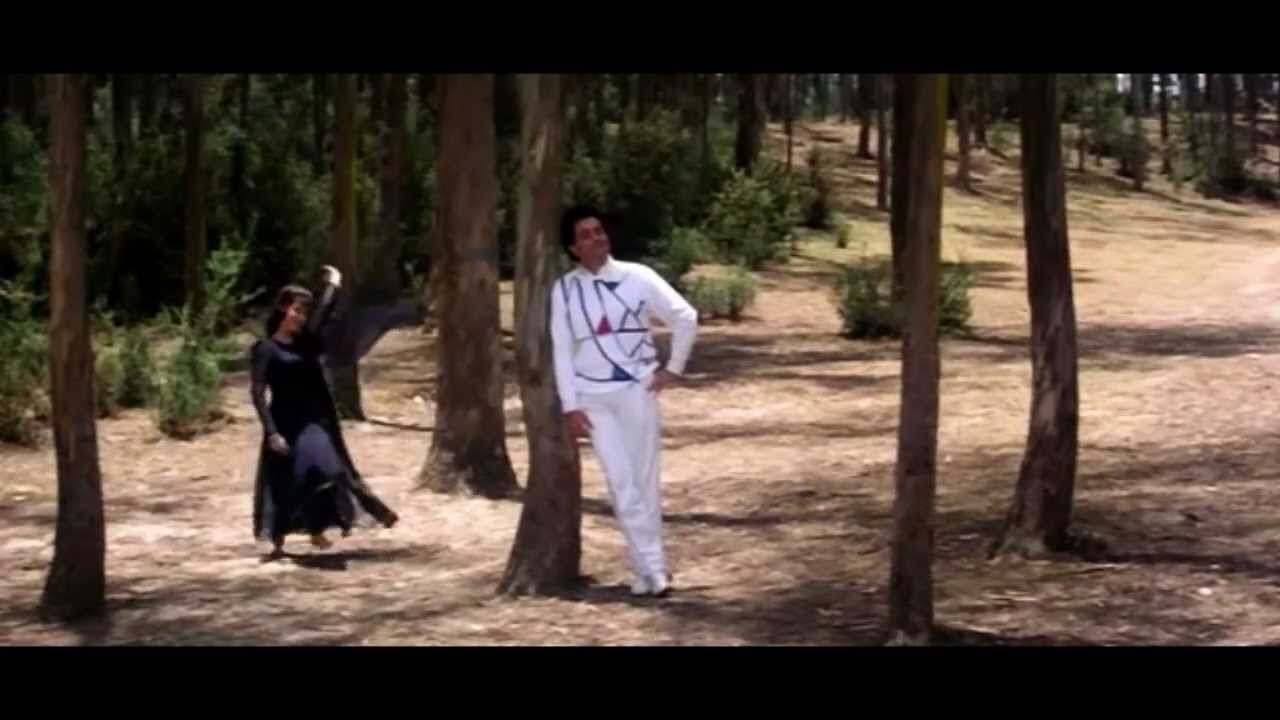 Aasman Tak Jaa Pahuchengi Lyrics  | Shreemaan Aashique | Rishi Kapoor, Urmila Matondkar | Kumar Sanu, Sadhana Sargam | Nadeem Saifi, Shravan Rathod