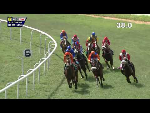 GLORIOUSNESS: THE BUCKPASSER PLATE(73)