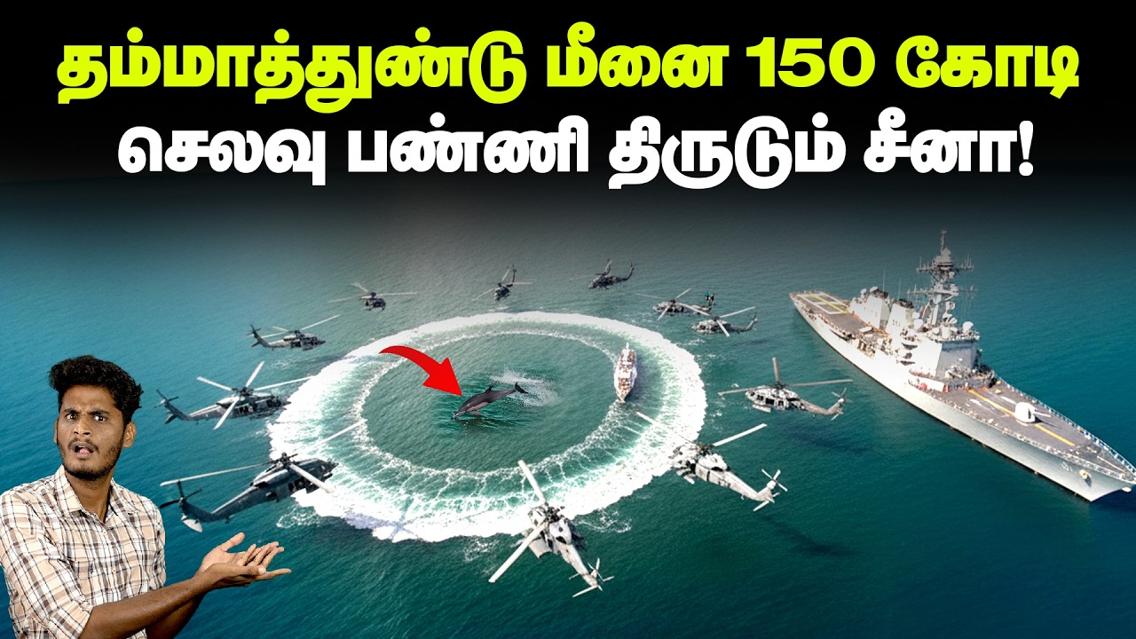 😱😱ஆண்மைக்கான மருந்து இந்த மீன்ல இருக்கா? - 900 கோடி செ?