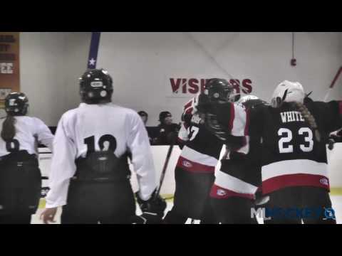 MAHA 2017 Girls 19U Tier 3 title game - Manistique vs. Huron County