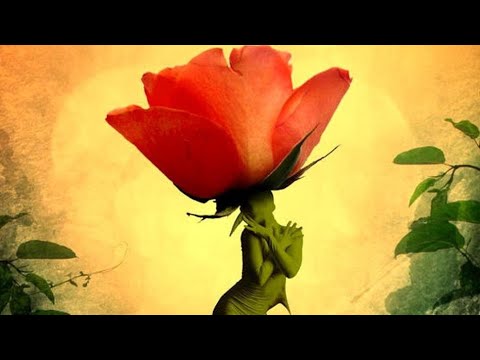 THE SEDUCTION - (LOVE THEME)  -  THE JAMES LAST ORCHESTRA  - (1980)