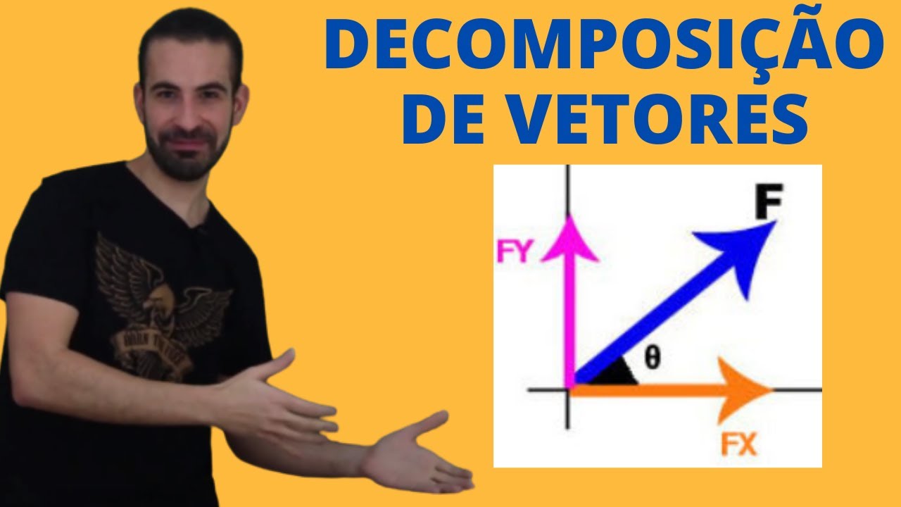 Decomposição de Vetores - [ Física do Zero ]