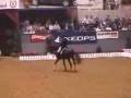 Dressage-Alive by Becki Ryan 