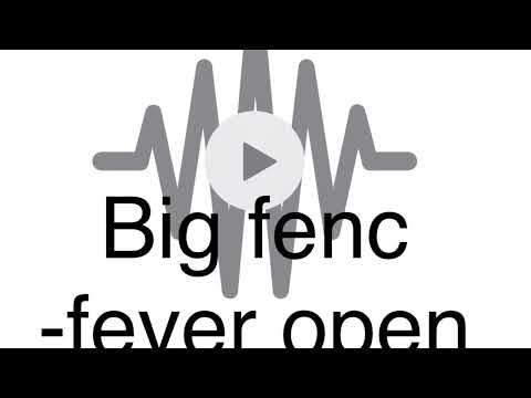 BIG FENC - FEVER OPEN VERSE CHALLENGE 