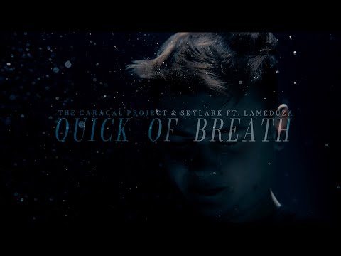 The Caracal Project & Skylark ft. LaMeduza - Quick of Breath (Official Video)