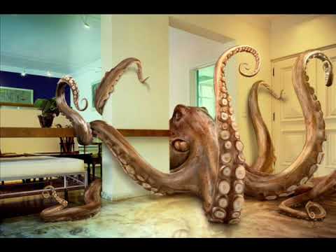 Who Owns The Octopus - William Orbit