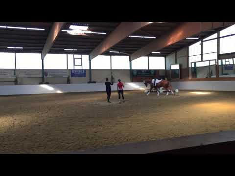 Bezirksmeisterschaft Paula Waskowiak