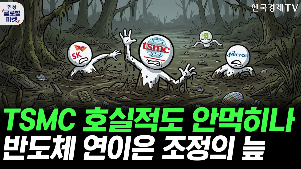 TSMC 호실적도 안먹히나…반도체주 연이은 조정의 늪ㅣ반도체 기업 노리는 애플...'AI 대반격' 전략짜나ㅣ?