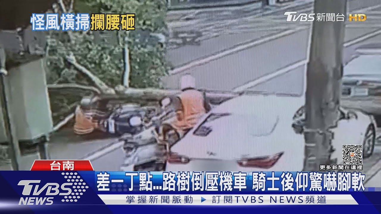 差一丁點!路樹倒壓機車 騎士後仰驚嚇腳軟