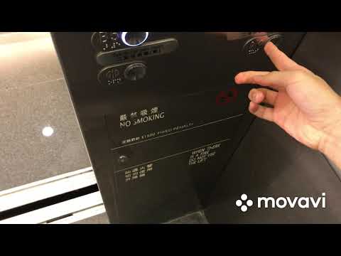 2 2003 OTIS Spec 90 traction scenic elevators @ Two IFC Mall in Central, Hong Kong